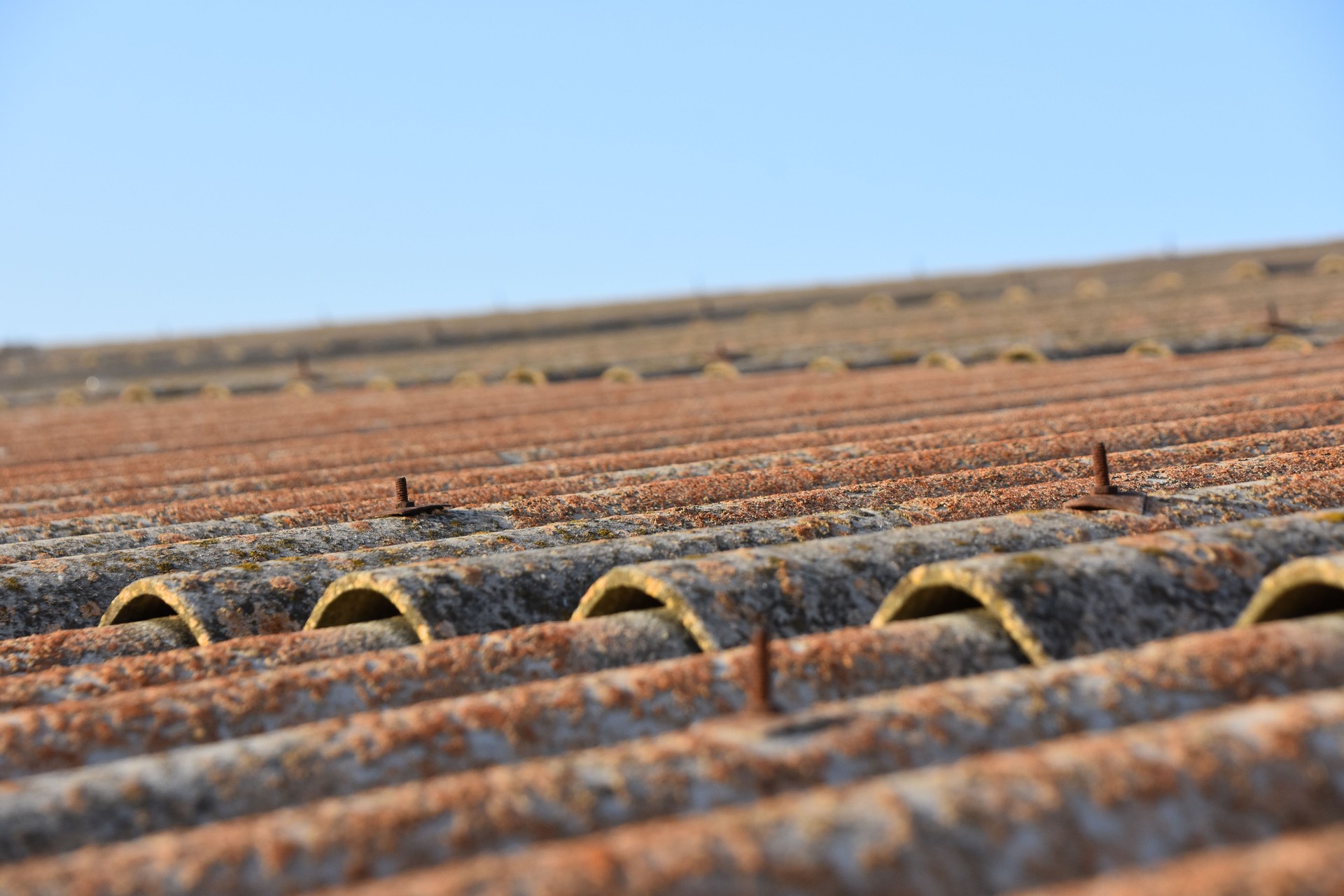 Asbestos roof